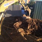os Stump Removal3