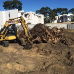 os-Stump-Removal4